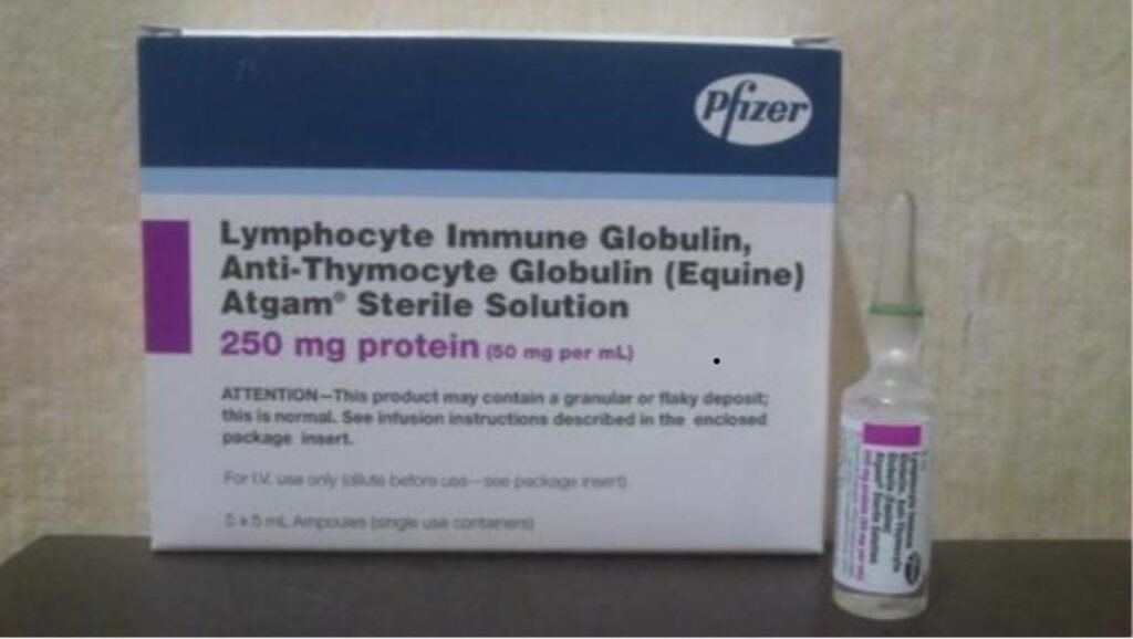 Atgam-250® Injection – Anti-Thymocyte Globulin (Equine) 250mg/5ml Immunosuppressive Therapy